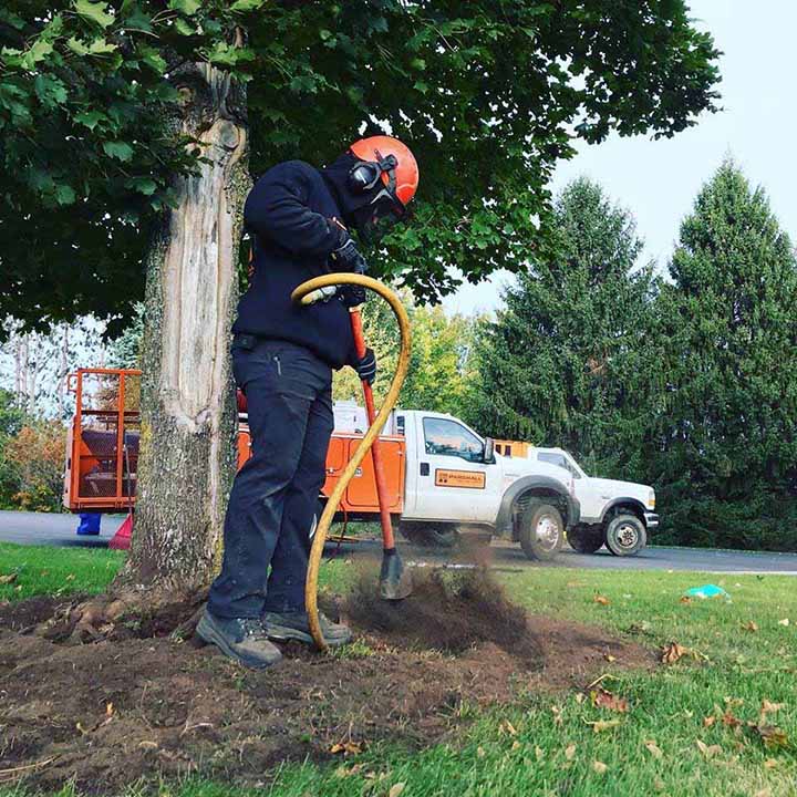 tree service douglasville ga